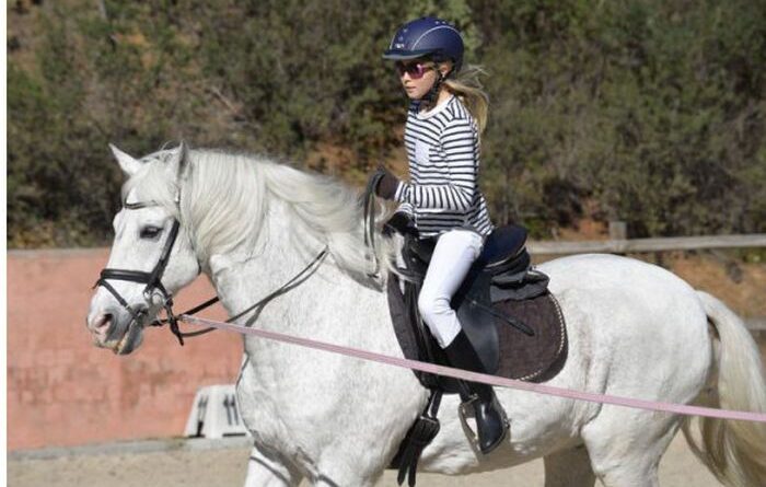 Equestrianisme Atau Berkuda Merupakan Olahraga Dengan Hewan