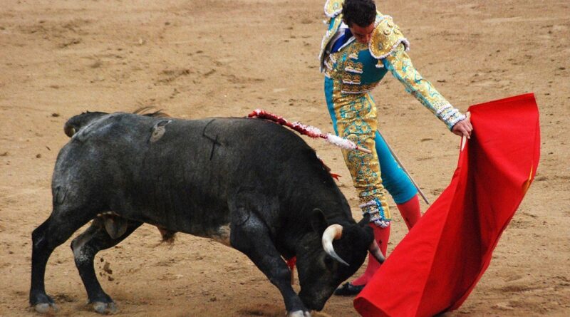 Corrida De Toros Sebuah Penampilan Adu Banteng