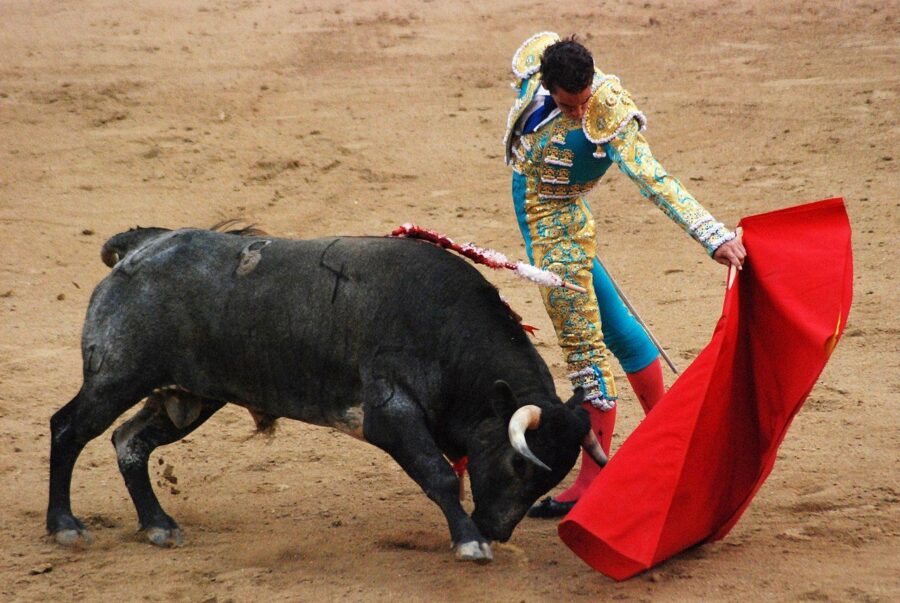 Corrida De Toros Sebuah Penampilan Adu Banteng