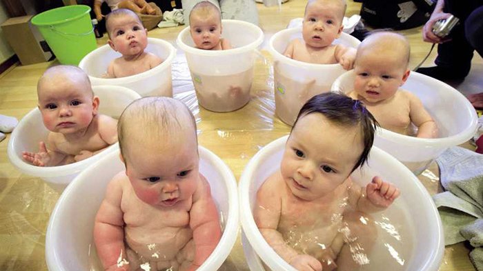 Bayi Tabung Yang Di Sebut Dengan In Vitro Fertilization