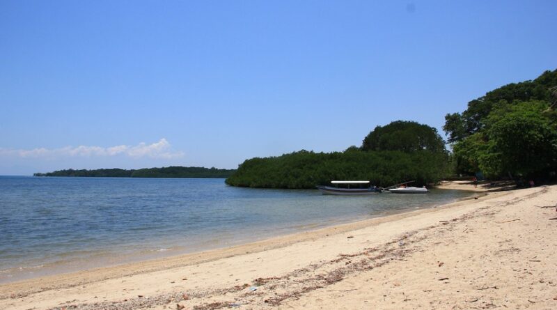 Keindahan Pantai Bama Di Taman Nasional Baluran