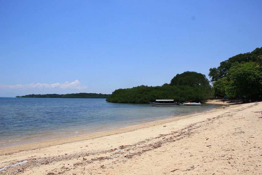 Keindahan Pantai Bama Di Taman Nasional Baluran