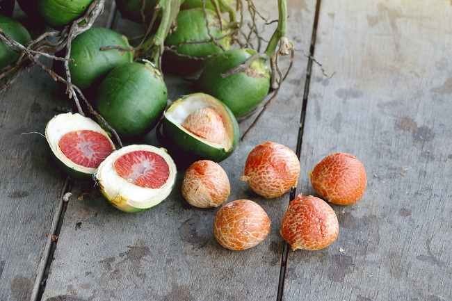 Berbagai Manfaat Buah Pinang Bagi Kesehatan