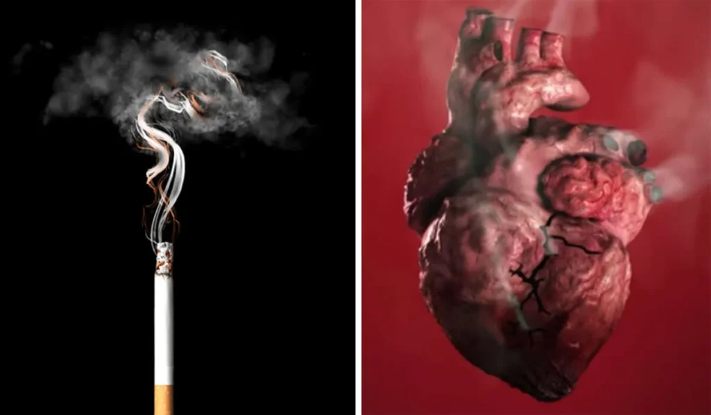 Dampak Negatif Asap Rokok Pada Organ Tubuh