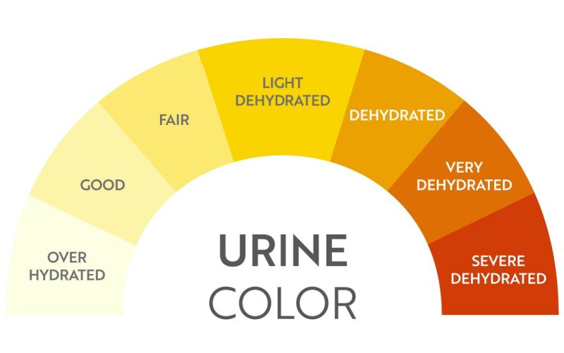 Warna Urine: Kenali Tanda Dan Artinya