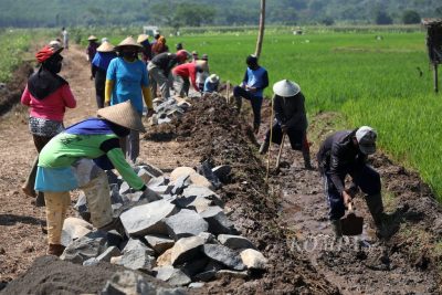 Program Padat Karya Mengatasi Kemiskinan Di Daerah Tertinggal