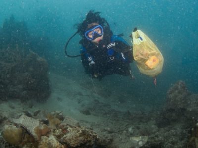 Bahaya Yang Mengintai Biota dalam Ekosistem Perairan