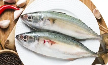 Superfood Lokal: Makanan Murah Meriah Dengan Gizi Tinggi