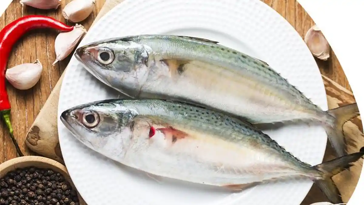 Superfood Lokal: Makanan Murah Meriah Dengan Gizi Tinggi