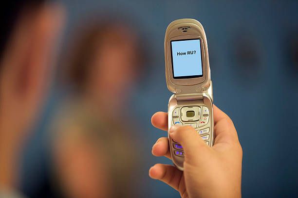 Ponsel Lipat Samsung, Ponsel Terkenal Pada Masanya