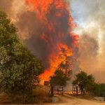 Hutan Di Chile Terjadi Kebakaran, Dampaknya 18 Orang Tewas