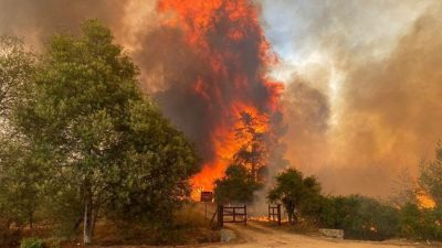 Hutan Di Chile Terjadi Kebakaran, Dampaknya 18 Orang Tewas