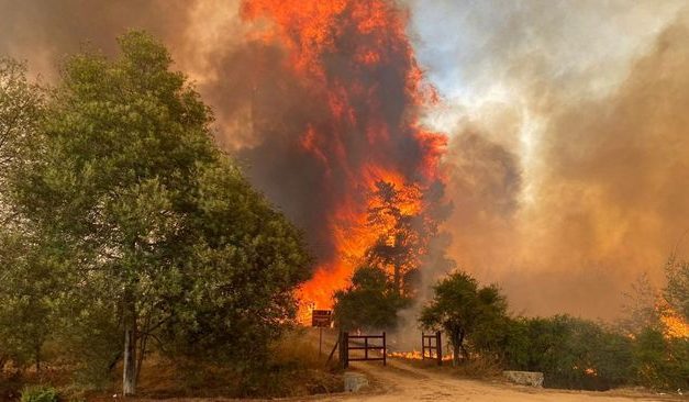 Hutan Di Chile Terjadi Kebakaran, Dampaknya 18 Orang Tewas