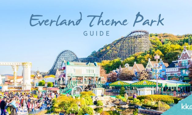 Everland Theme Park Taman Hiburan Populer Dan Terbesar Asia