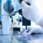 Proses Bayi Tabung, Metode Hamil Dengan Teknologi Pembuahan