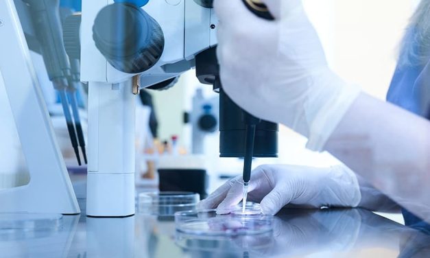 Proses Bayi Tabung, Metode Hamil Dengan Teknologi Pembuahan