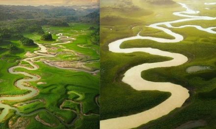 Danau Musiman Yang Unik, Danau Tendetung Sulawesi Tengah