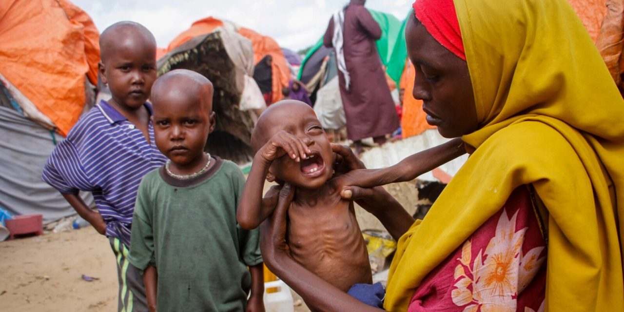 Kelaparan Di Somalia, Bantuan Internasional Menanggulangi Krisis