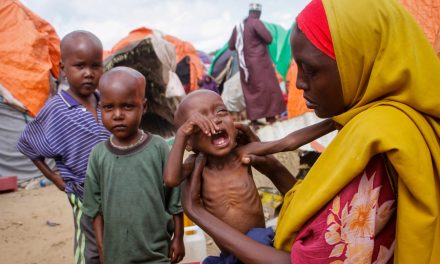 Kelaparan Di Somalia, Bantuan Internasional Menanggulangi Krisis