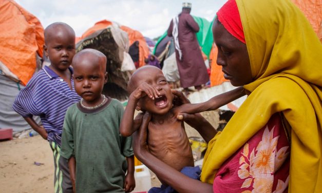 Kelaparan Di Somalia, Bantuan Internasional Menanggulangi Krisis