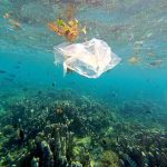 Pengaruh Mikroplastik Terhadap Kelestarian Ekosistem Laut