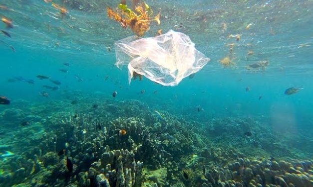 Pengaruh Mikroplastik Terhadap Kelestarian Ekosistem Laut