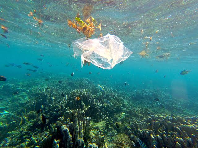 Pengaruh Mikroplastik Terhadap Kelestarian Ekosistem Laut