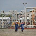 Proyek CCS Di Lapangan Tangguh Mencontoh Pelabuhan Nagoya