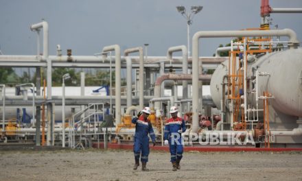 Proyek CCS Di Lapangan Tangguh Mencontoh Pelabuhan Nagoya