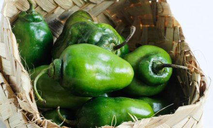 Keunikan Olahan Cabe Gendot Yang Memiliki Tekstur Renyah
