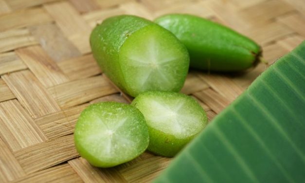 Mengolah Belimbing Wuluh Untuk Penurunan Kolesterol