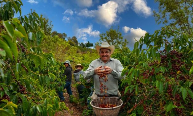 Menjelajah Negeri Ethiopia Tempat Asal Kopi Berasal