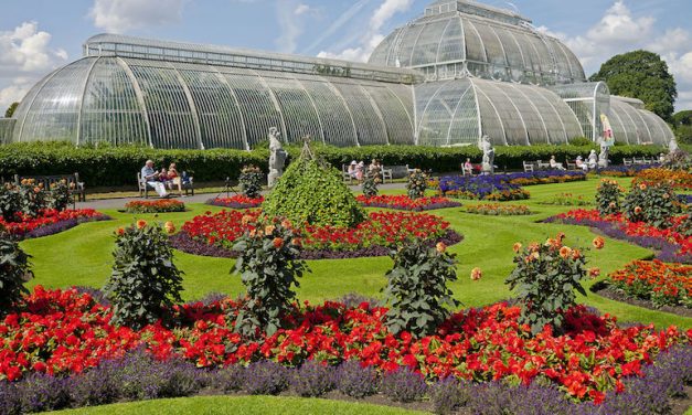 Royal Botanic Garden Destinasi Wisata Populer Di Australia