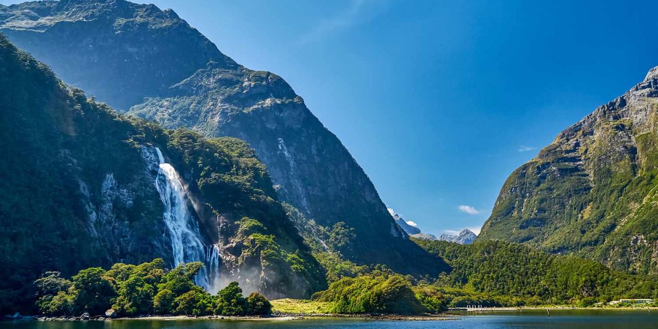 Alasan New Zealand Diberi Julukan Negeri Kiwi, Ini Penjelasannya!