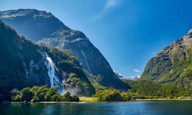 Alasan New Zealand Diberi Julukan Negeri Kiwi, Ini Penjelasannya!