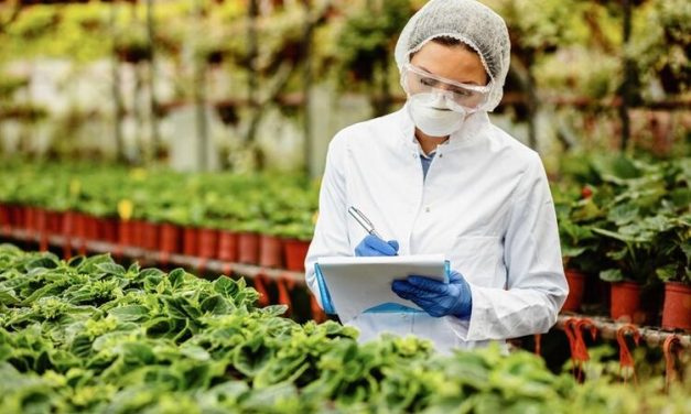 Masa Depan Pangan, Teknologi Meningkatkan Produksi Makanan