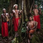 Warisan Budaya Papua, Menjaga Tradisi Di Era Modern