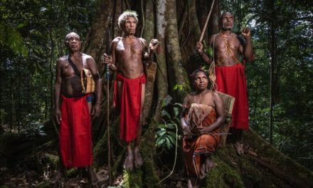 Warisan Budaya Papua, Menjaga Tradisi Di Era Modern