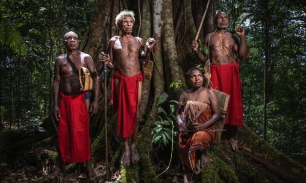 Warisan Budaya Papua, Menjaga Tradisi Di Era Modern